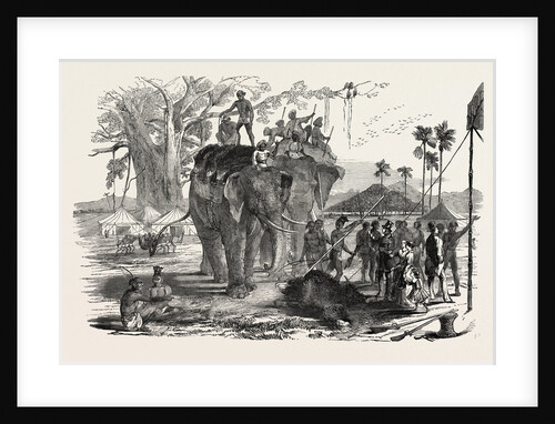 High Land of Beerbhoom, a Party, Including Two Elephants, Returning from Bear-Shooting, Birbhum, India by Anonymous