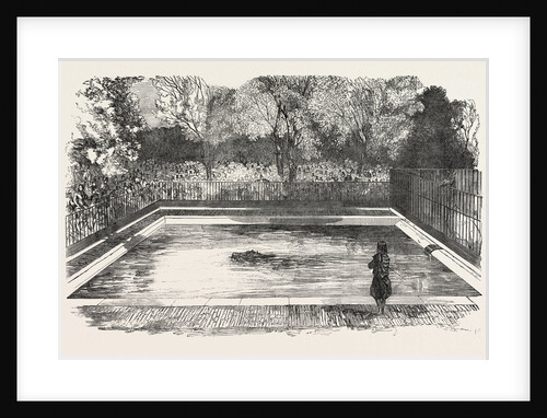 The Hippopotamus in His New Bath in the Zoological Society's Gardens, Regent's Park, London by Anonymous