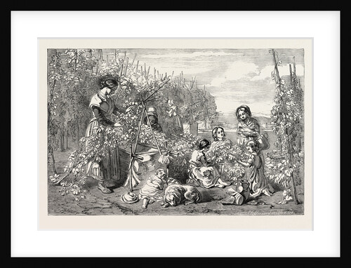 Exhibition of the New Society of Painters in Water Colours: Hoppers; Hop Picking by Anonymous