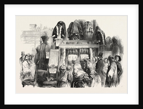 The Great Exhibition, Crystal Palace, Hyde Park, London: Case of Furs, Showing Especially the Several Kinds of Sable by Anonymous