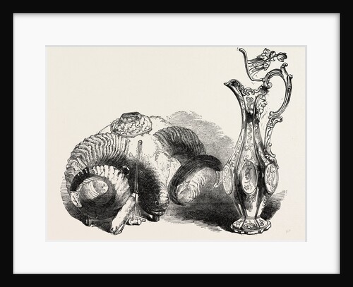 Scotch Mull and Claret Jug by Anonymous