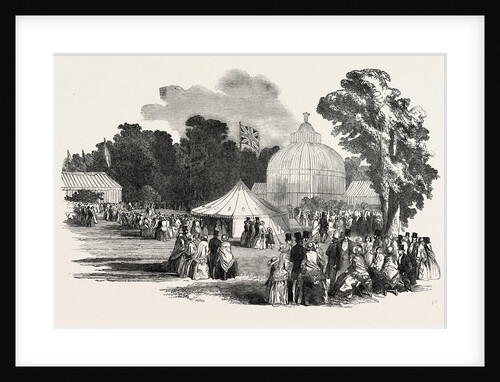 Birmingham and the Great Exhibition, the Fete Champetre, at the Botanic Gardens by Anonymous