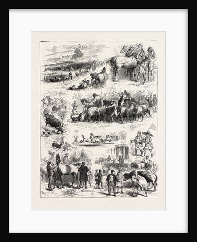 Bipeds and Quadrupeds at Barnet Fair by Anonymous
