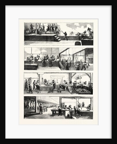 American Industry and Commerce, Hog-Slaughtering at Cincinnati, United States of America by Anonymous