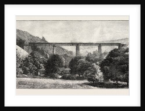 The New Devon and Somerset Railway: Tone Valley Viaduct by Anonymous