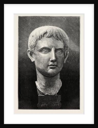 The Castellani Collection at the British Museum: Marble Head of Young Augustus by Anonymous