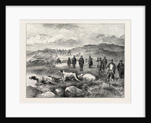 Pointer and Setter Grouse Trials at Rhiwlas, North Wales: General View of the Ground by Anonymous