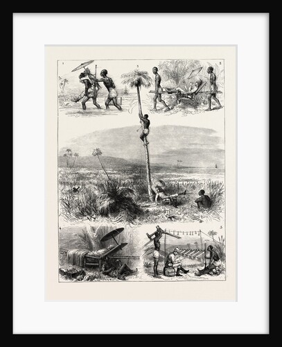 The Ashantee War: How I Took Coomassie by Anonymous