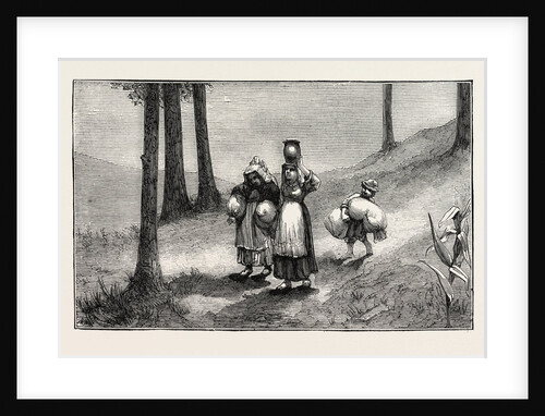 Character Sketches in North Carolina: Wayfarers by Anonymous