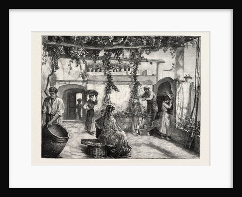 The Grape Harvest in Italy by Anonymous