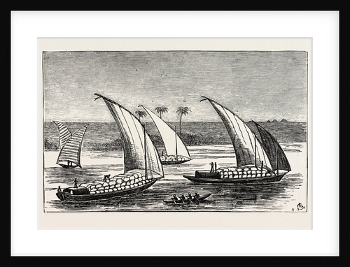 Cotton on Its Way Down the Nile, Egypt by Anonymous