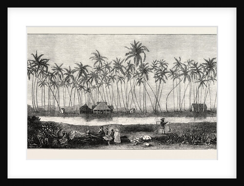 The Summer Residence of the Late King Kamehameha V. At Waikiki by Anonymous