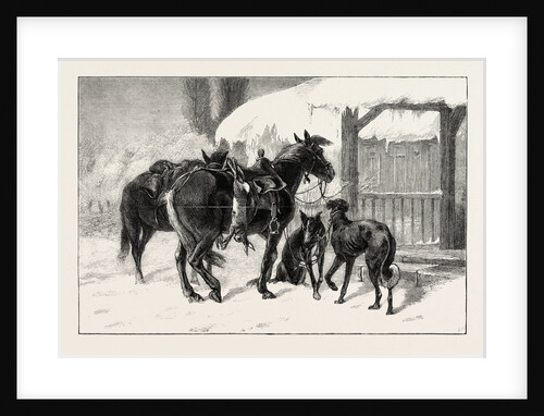 Coursing in Poland: Two Polish Hunters by Anonymous