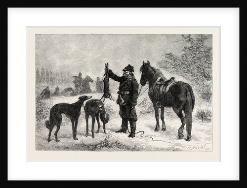 Coursing in Poland: Caught at Last by Anonymous