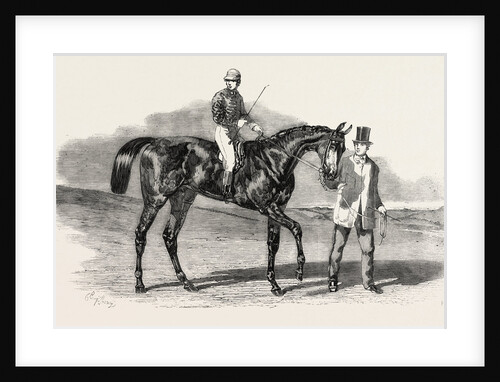 Sweetsauce, the Winner of the Stewards and the Goodwood Cups, UK, Race Horse, Horse by Anonymous
