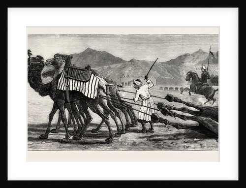 The Campaign in Afghanistan: A Camel's Funeral Procession by Anonymous