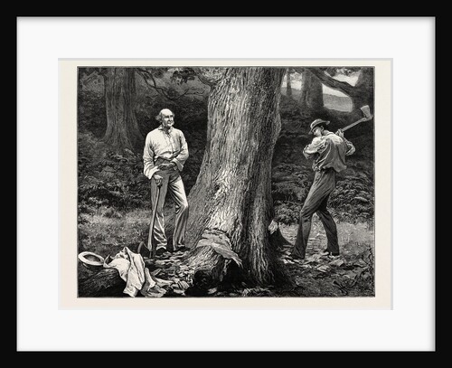 A Holiday Task at Hawarden, 1877, Gladstone Preparing to Fell a Tree by Anonymous