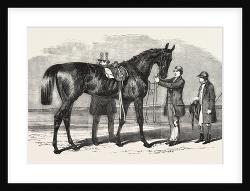 Rupee, the Winner of the Ascot Cup, UK by Anonymous
