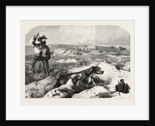 Grouse Shooting, from a Drawing by Harrison Weir by Anonymous
