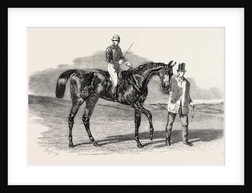 Sweetsauce: The Winner of the Stewards' and the Goodwood Cups, UK by Anonymous