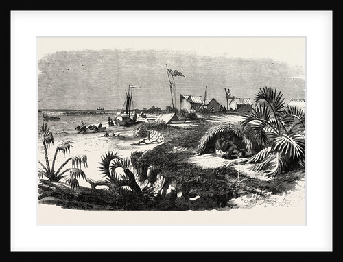 The Livingstone Expedition in Africa: Dr. Livingstone's Station at the Mouth of the Kongone River, on the Zambesi Delta by Anonymous