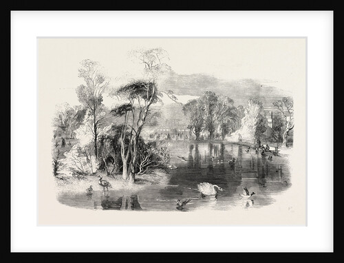 The New Lake, Kew Gardens, London by Anonymous