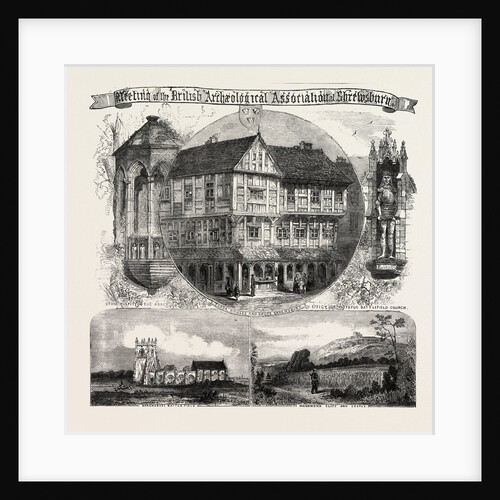 Meeting of the British Archaeological Association at Shrewsbury, Tudor Houses and Shops by Anonymous