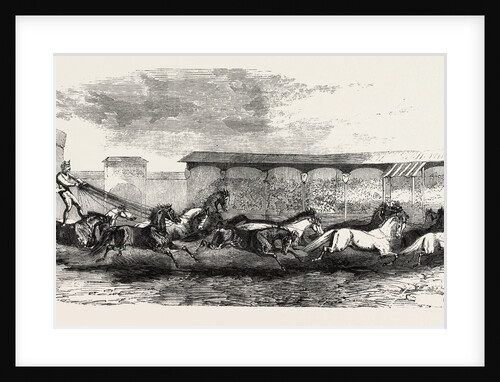 The Paris Hippodrome: Seventeen Horses Driven by M. Marin, France by Anonymous