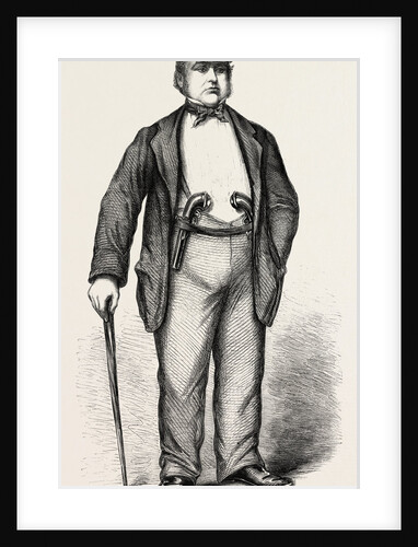 Mr. Edwin James, Q.C., in Garibaldi's Camp by Anonymous