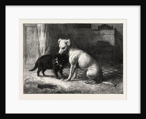 Landseer's Pet Dog Tiney and Pet Cat by Anonymous