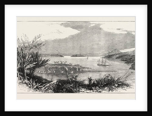 The Newly-Discovered Harbour of Mto Mtwara, East Coast of Africa by Anonymous