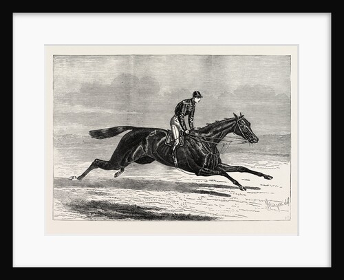 Aventuriere, Winner of the Cesarewitch Stakes at Newmarket by Anonymous