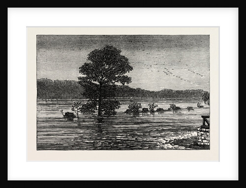 Inundations in the United States of America: Cumberland River, from the Railroad Bridge by Anonymous
