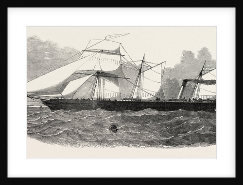 The London and Rotterdam Screw Steamer, Apollo by Anonymous