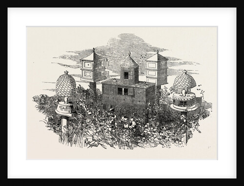 Neighbour And Son, Beehives by Anonymous