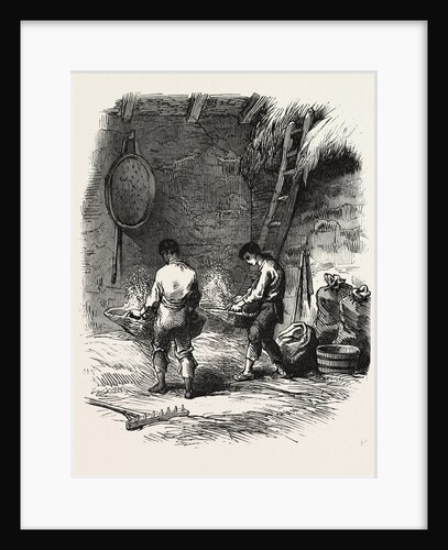 French Agriculture: Winnowing by Anonymous