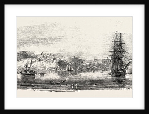 The Town of Auckland, New Zealand by Anonymous