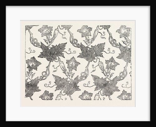 Convolvulus Silk Pattern by Anonymous