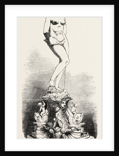 Andromeda by Anonymous