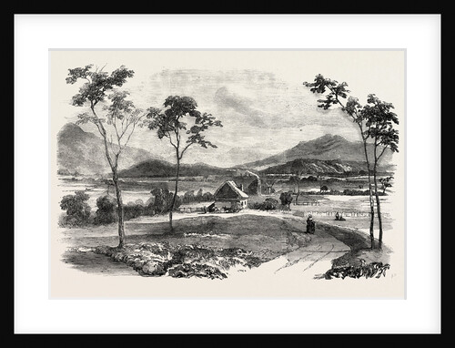 The Australian Gold District: The Paterson District, from Morpeth, Australia by Anonymous