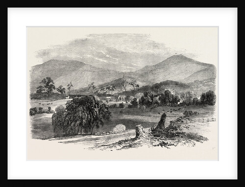 The Australian Gold District: Camerallyn, the Residence of C. Boydell, Esq., Australia by Anonymous