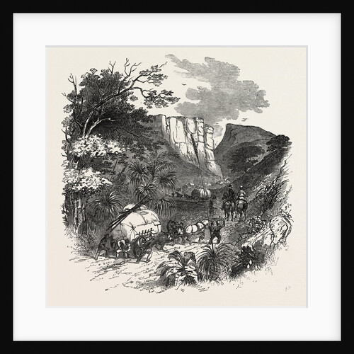 Ascending a Pass in the Blue Mountains by Anonymous