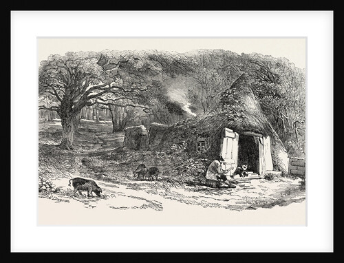 Hut in the Middle of the Hainault Forest by Anonymous