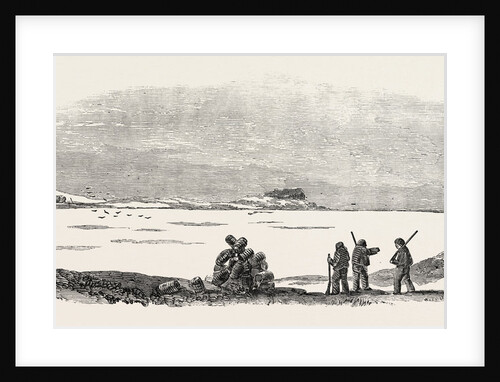Captain Austin's Arctic Expedition: Winter Quarters of Sir John Franklin by Anonymous