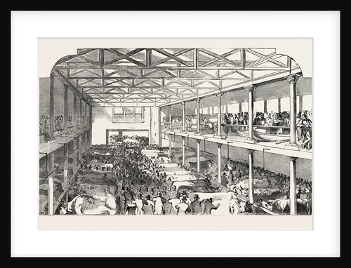 The Smithfield Club Caitle Show, the New Department for Extra Stock, Etc. by Anonymous