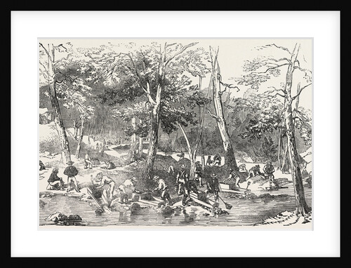 The Australian Gold District: Fitzroy Bar, Ophis, at the Junction of the Two Creeks, Australia by Anonymous