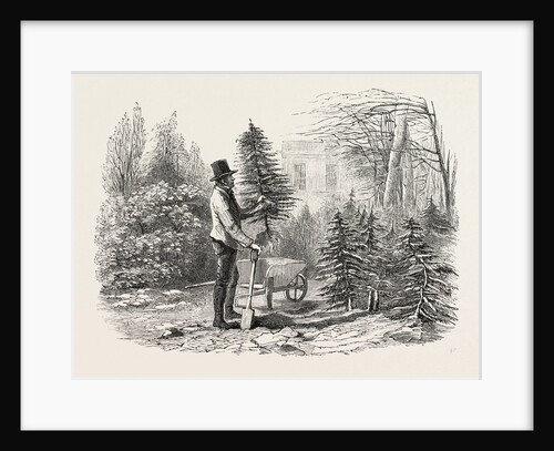 So the Little Fir-Tree Went Off in Its Wheelbarrow, and Tried to Sit in It with a Jaunty Air, As If It Was Only Being Taken for a Pleasant Airing. by Anonymous