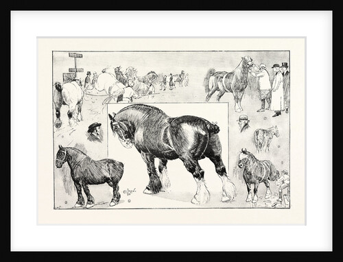 The Shire Horse Show at the Royal Agricultural Hall by Anonymous