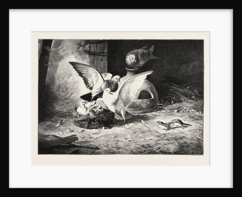 An Unwelcome Visitor by Anonymous