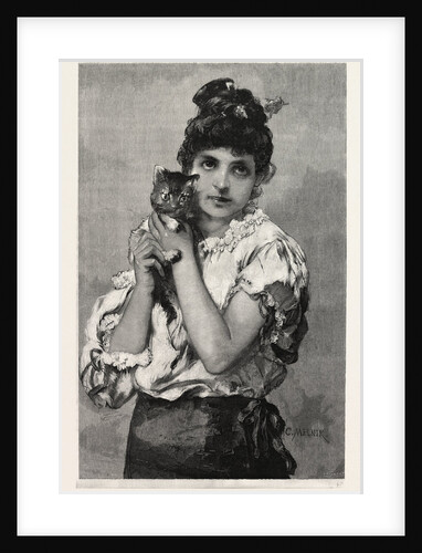 Catseyes, Cat Eyes by Anonymous